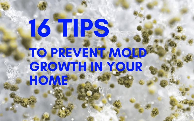 how to prevent mold growth in your home