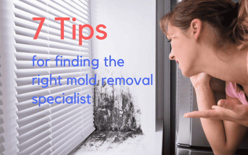 7 tips for finding the right mold removal specialist