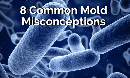 what are some vommon mold misconceptions