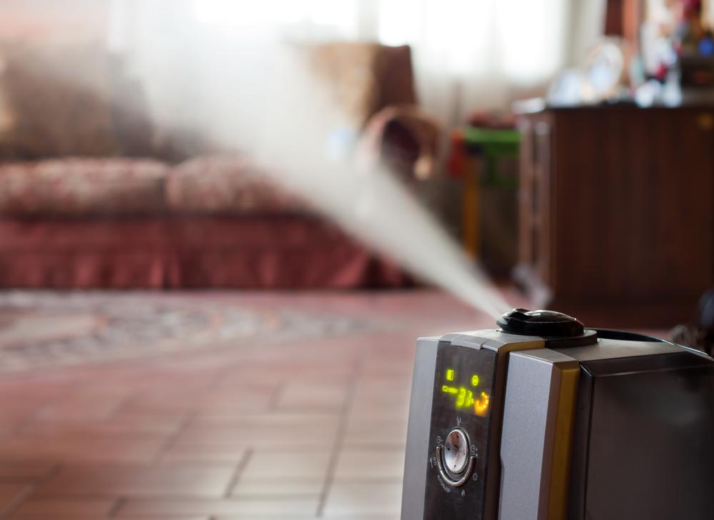 how air purifiers help prevent mold growth