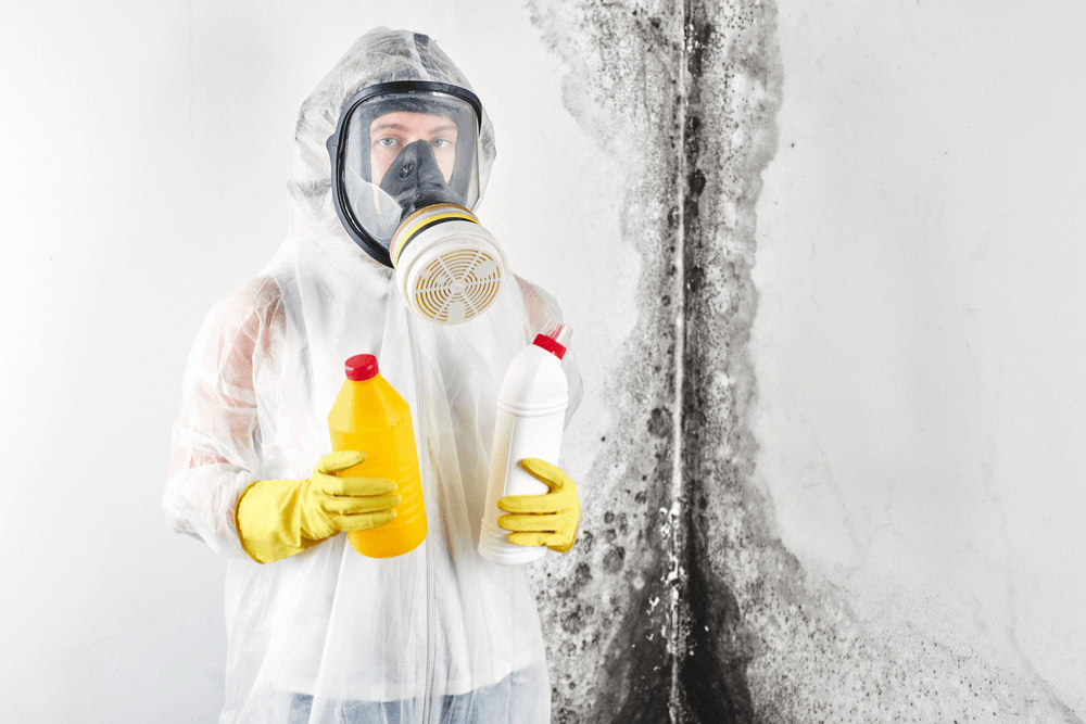 How Much Does Mold Removal Cost Avg Costs How To Save 