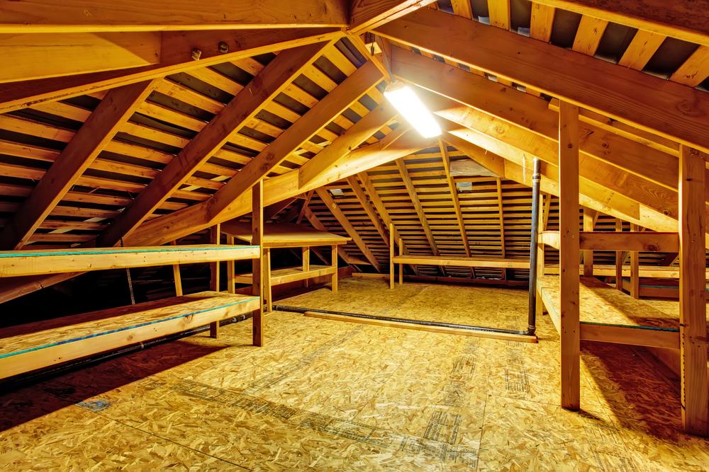 how to remove and prevent mold growth in your attic