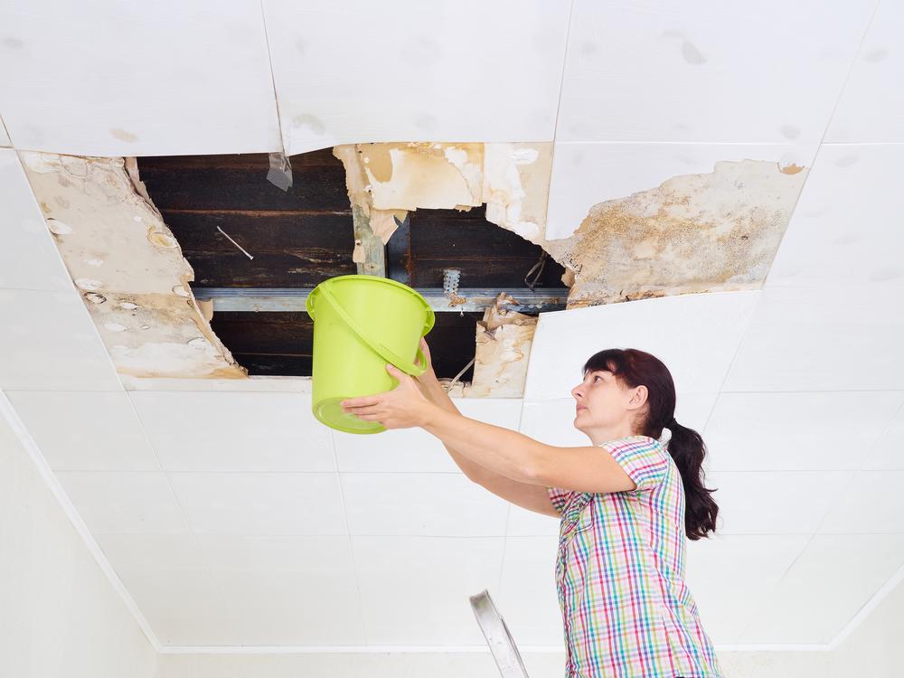 How to Get Rid of Mold in Your Home Safely